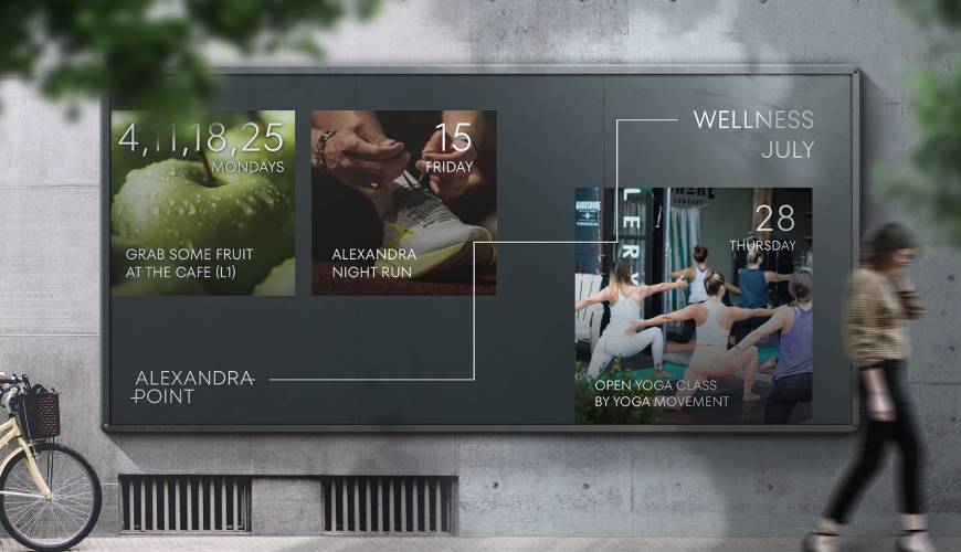 商都县画册设计公司如何进行品牌审核